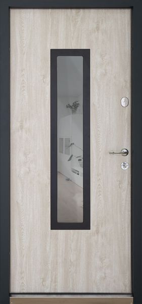 Вхідні двері модель Solid Glass комплектація Defender ABWEHR (408) 408 фото